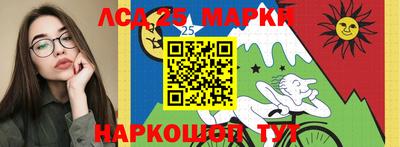 дмт Новокубанск